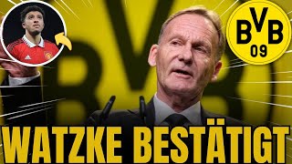 ERHALTEN SIE ES JETZT Schütteln Sie das Internet ENDLICH VERTRAG BIS 202 BORUSSIANEWS HEUTE [upl. by Dnarb]