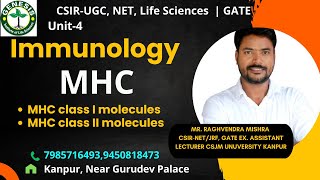 Major Histocompatibility Complex  MHC class I amp class II molecules  Immunologygenesisinstitute [upl. by Dell]