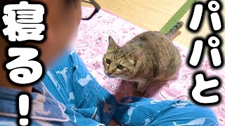 夜勤で疲れて帰ってきたパパにずっとくっ付いて離れないトラ【庭に住みついた野良猫を家猫へ】 [upl. by Macegan72]