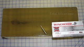 Winchester Super X 223 Jacketed Soft Point 55 grain [upl. by Bevus282]