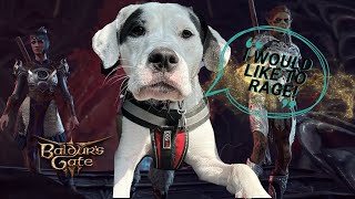 I Made My Dog in Baldurs Gate 3  Firbolg Wild Magic Barbarian  Modded Playthrough  SuperKingNerd [upl. by Nancy]