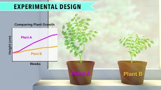 Biology Controlled Experiments [upl. by Minoru]