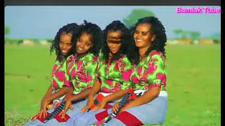 Traditional New Ethiopian Collection music 2024 [upl. by Tomi]