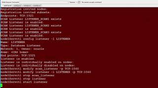 RAC 19c Modify SCAN Listener amp LOCAL listener Port [upl. by Boor973]