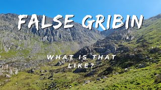 False Gribin What is that like [upl. by Edyak230]