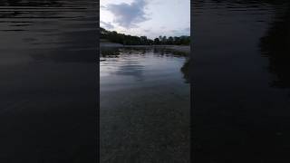 Ako su Vam dosadili bazeni i akva parkovi jezero u Kačarevu je pravi izbor za Vas shortvideo clips [upl. by Wagstaff]