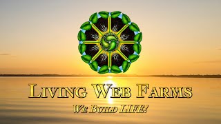 Living Web Live Episode 1 [upl. by Thebazile]