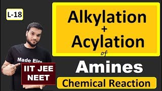 L18 Alkylation  Acylation of Amines  Chemical Reactions  JEE NEET  By Arvind Arora [upl. by Callas]