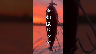 【トップウォーター】ゆったりたっぷりドップりと❣️朝活夢と魔法の川 bassfishing うっちーランドニンナドップshorts [upl. by Michaud930]