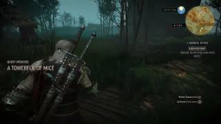 The Witcher 3  A Towerful of Mice Reach Fyke Island Use Magic Lamp To Find Ghost Gameplay PS5 40 [upl. by Ike]