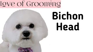 Bichon Head Grooming [upl. by Darnall]