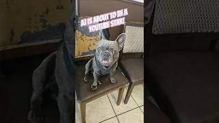 RICO SUAVE PT 2 Rico Suave Filter NoFilter Needed FrenchBulldog FrenchBully Handsome [upl. by Nitsugua]