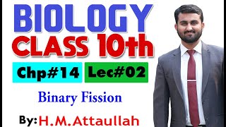 How to Draw Binary fission in amoeba  Binary Fission In Amoeba Diagram  Biology  CBSE [upl. by Buna793]