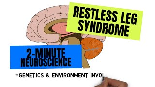 2Minute Neuroscience Restless Legs Syndrome [upl. by Lacy207]