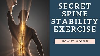 SECRET Spine Stability Exercise To Fix Back Pain  How To Workout The Multifidus Muscle [upl. by Kimbra955]