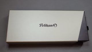 Pelikan M200 Golden Beryl Fountain Pen Review [upl. by Porcia375]