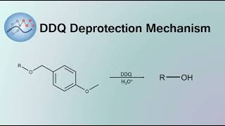 DDQ Deprotection Mechanism  Organic Chemistry [upl. by Sefton]