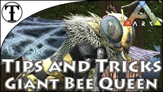 Fast Giant Bee Queen Taming Guide  Ark  Survival Evolved Tips and Tricks [upl. by Nahtanoj]