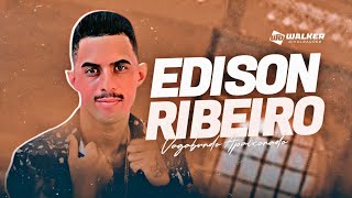 EDISON RIBEIRO  VAGABUNDO APAIXONADO  MÚSICA SUCESSO  SETEMBRO 2024 [upl. by Tuinenga]