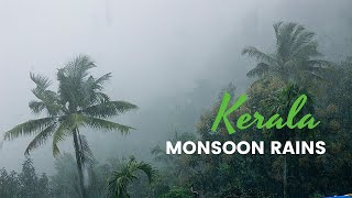 Why Kerala for Monsoon  Best Monsoon video [upl. by Nylitak]