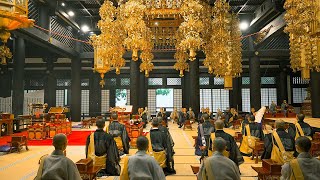 3Day Temple Stay at a 550YearOld Japanese Buddhist Temple  Kakurinbo Kuonji Temple  ASMR [upl. by Nirol84]