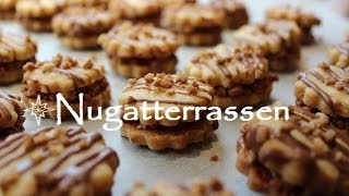 Plätzchen backen  ♥♥♥ Rezept Nugatterrassen ♥♥♥ [upl. by Ilocin]