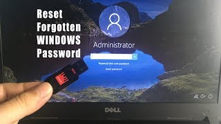 Reset forgotten Windows 111087 Password with Hiren USB  NETVN [upl. by Sella572]