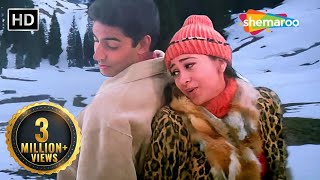 Hum Yaar Hain Tumhare  Haan Maine Bhi Pyaar Kiya 2002  Abhishek Bachchan Karishma Kapoor songs [upl. by Adnilrev]