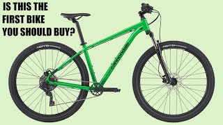 Entry Level Budget Mountain Bikes from Big Brands [upl. by Dlarej]