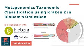 Metagenomics Taxonomic Classification using Kraken 2 in BioBams OmicsBox [upl. by Lainahtan89]