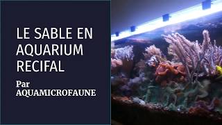 LE SABLE EN AQUARIUM RÉCIFAL Par AQUAMICROFAUNE [upl. by Eskill]