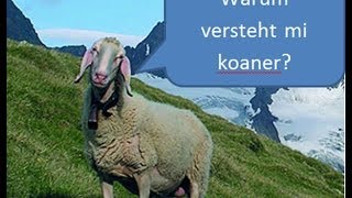 WARUM versteht mich niemand  Dialekte [upl. by Cowley545]