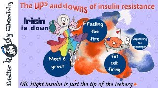 Irisin and insulin resistance [upl. by Marlee]