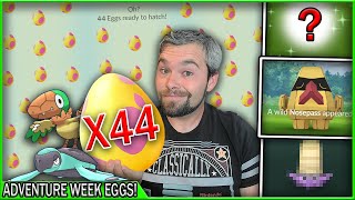 Hatching 44 Adventure Week Eggs Shiny Tirtouga amp Archen hunt Pokémon GO [upl. by Siron]