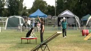 AKC Agility Svetlana Tumanova amp Skip [upl. by Adnuahs]