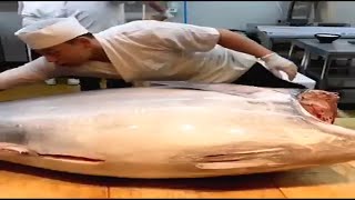 Cocineros japoneses cortan un atún gigante para hacer sashimi [upl. by Ahsenahs735]