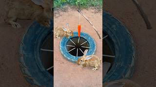 Survival Skills Simple But Very Useful with rabbit deep hole trap shorts survival outdoors [upl. by Annoiek]