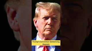 Trumps Conviction and Its Impact on His Future Sentencing Appeals and Presidential Candidacy [upl. by Darnall]