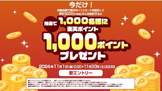 【ビバホーム】ビバポイントと楽天ポイントが両方使える！貯まる！ [upl. by Eal]