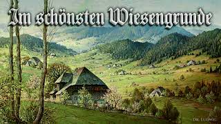 Im schönsten Wiesengrunde German folk songEnglish translation [upl. by Fujio]