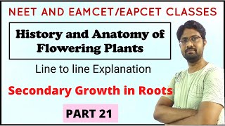 Secondary Growth in Roots  Anatomy of Flowering Plants Chapter Line to line Explanation  PART 21 [upl. by Mason]