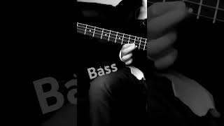 No será lo mismo sin tí  Libido  bajo alternativo libido argentina peru music bass salim [upl. by Nodmac994]