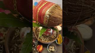 Navratri kalash sthapna vidhi🌸🌼🌹kalashsthapna navratri navratrikalashsthapna navratipuja [upl. by Haimehen]