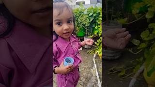 पौधे लगते हो तो ये काम जरूर करना🌸🌿🪻🪴plants gardening plantvideo soilmixture fertilizer [upl. by Earle]