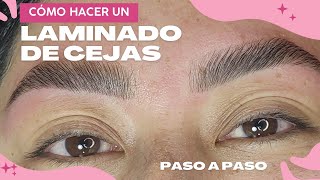 Cómo hacer un laminado de cejas paso a paso [upl. by Chavez]