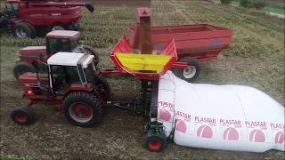 Richiger R1090 Grain Bagger Bagging Milo in Perry Missouri [upl. by Geehan]