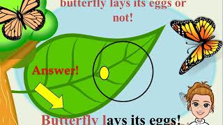 What is Oviparous and Viviparous [upl. by Farrow]