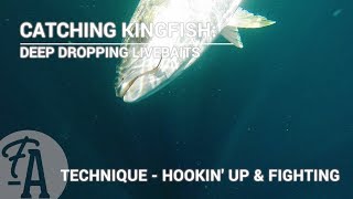 Catching Kingfish Deep dropping live baits  fishing technique [upl. by Anatole629]