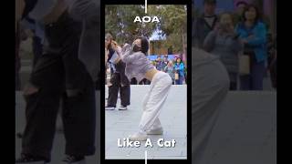 🇦🇺Kpop in public  AOA “Like a Cat” [upl. by Blanding]