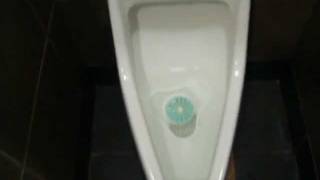 151 Unisex Kohler Derry Urinal and Kohler Highcliff at McDonalds CO [upl. by Ailes]